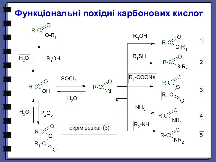 Функціональні похідні карбонових кислот