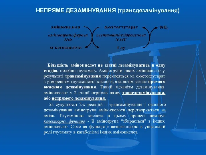 НЕПРЯМЕ ДЕЗАМІНУВАННЯ (трансдезамінування) Більшість амінокислот не здатні дезамінуватись в одну стадію, подібно глутамату.