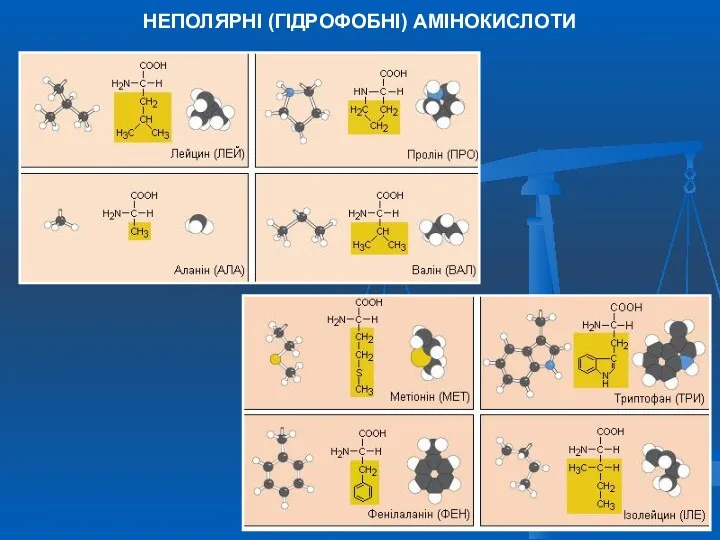 НЕПОЛЯРНІ (ГІДРОФОБНІ) АМІНОКИСЛОТИ