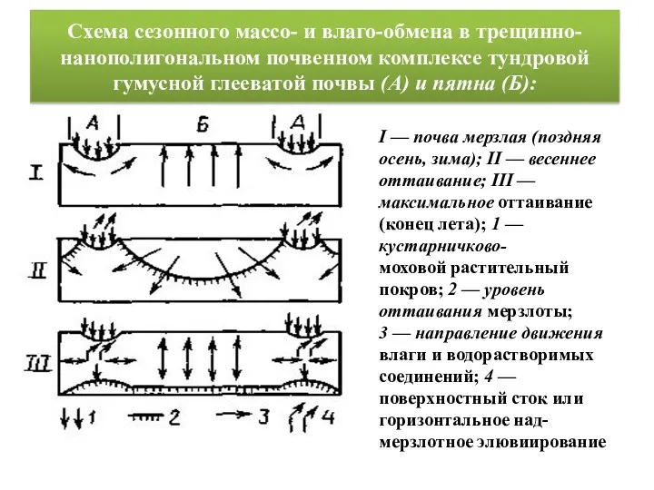 Схема сезонного массо- и влаго-обмена в трещинно-нанополигональном почвенном комплексе тундровой