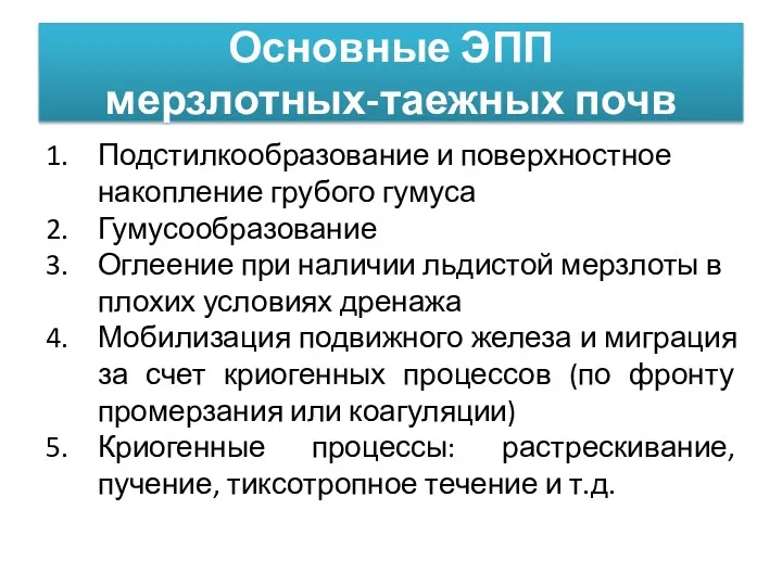 Основные ЭПП мерзлотных-таежных почв Подстилкообразование и поверхностное накопление грубого гумуса