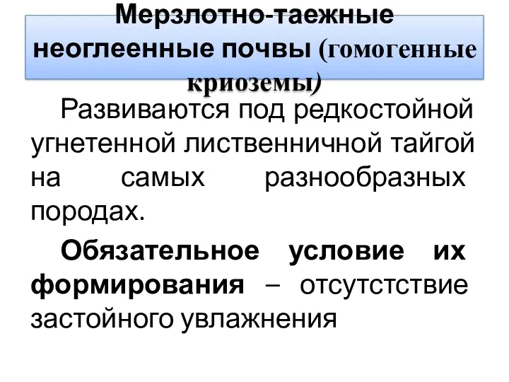 Мерзлотно-таежные неоглеенные почвы (гомогенные криоземы) Развиваются под редкостойной угнетенной лиственничной