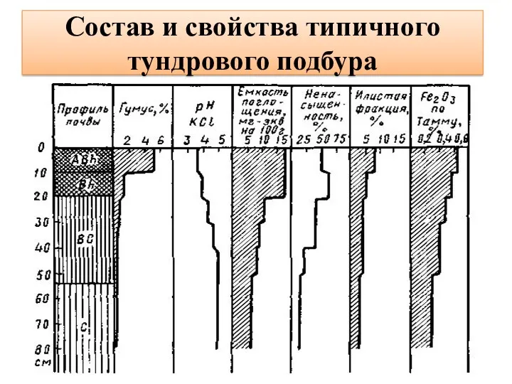 Состав и свойства типичного тундрового подбура