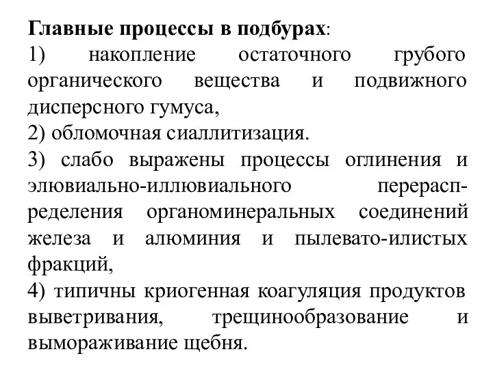 Главные процессы в подбурах: 1) накопление остаточного грубого органического вещества