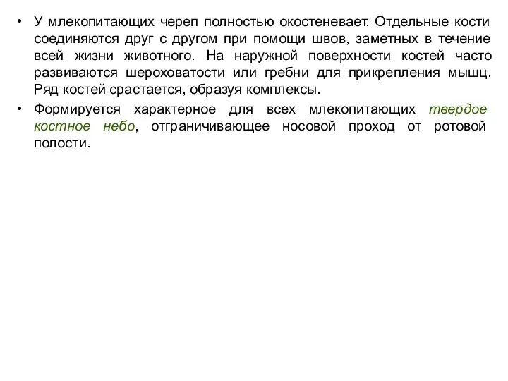 У млекопитающих череп полностью окостеневает. Отдельные кости соединяются друг с