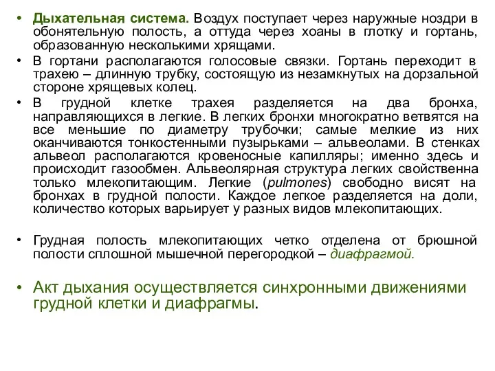 Дыхательная система. Воздух поступает через наружные ноздри в обонятельную полость,