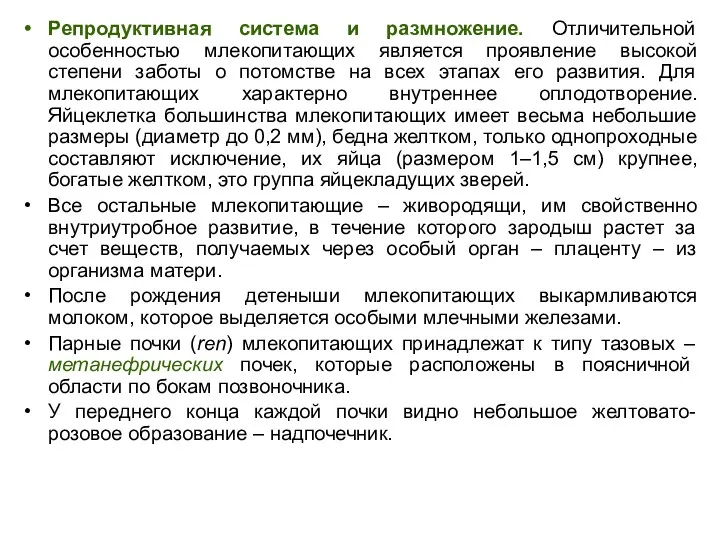 Репродуктивная система и размножение. Отличительной особенностью млекопитающих является проявление высокой