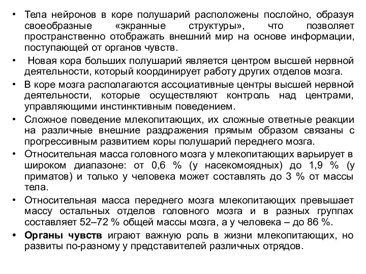 Тела нейронов в коре полушарий расположены послойно, образуя своеобразные «экранные