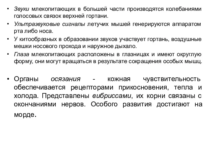 Звуки млекопитающих в большей части производятся колебаниями голосовых связок верхней