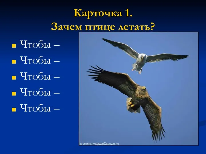 Карточка 1. Зачем птице летать? Чтобы – Чтобы – Чтобы – Чтобы – Чтобы –