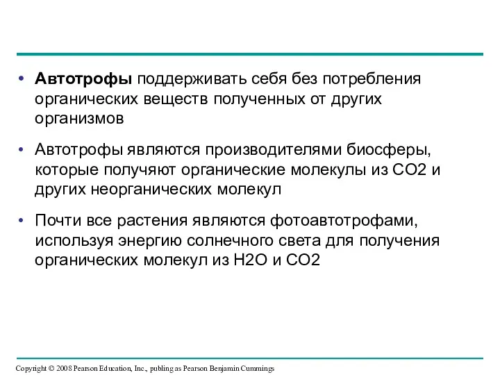 Автотрофы поддерживать себя без потребления органических веществ полученных от других