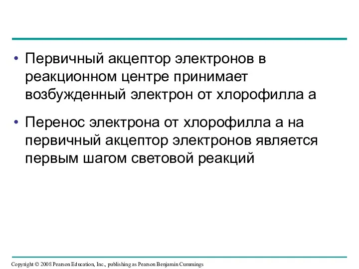 Первичный акцептор электронов в реакционном центре принимает возбужденный электрон от