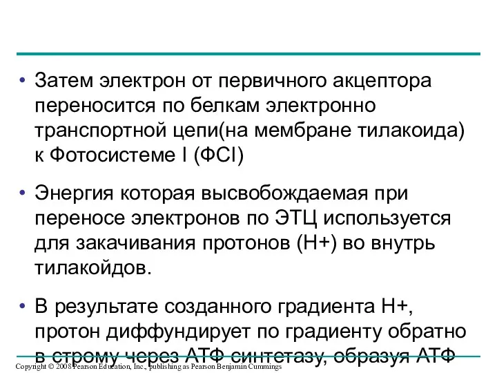 Затем электрон от первичного акцептора переносится по белкам электронно транспортной