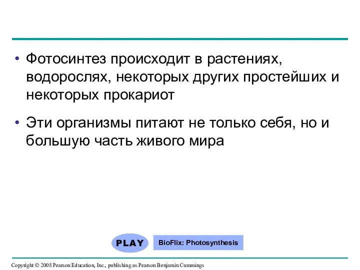 Фотосинтез происходит в растениях, водорослях, некоторых других простейших и некоторых