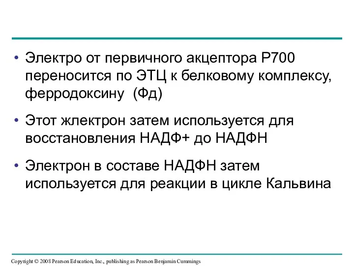 Электро от первичного акцептора Р700 переносится по ЭТЦ к белковому