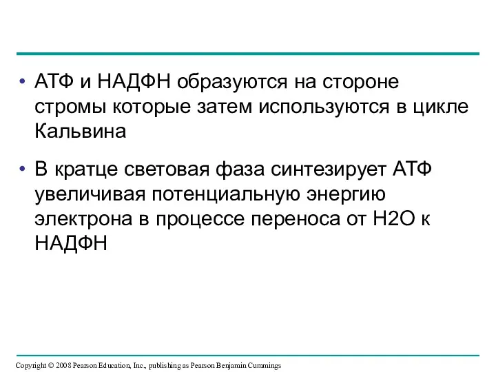 АТФ и НАДФН образуются на стороне стромы которые затем используются