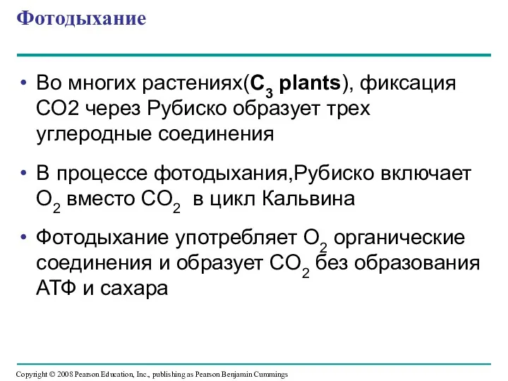 Фотодыхание Во многих растениях(C3 plants), фиксация СО2 через Рубиско образует