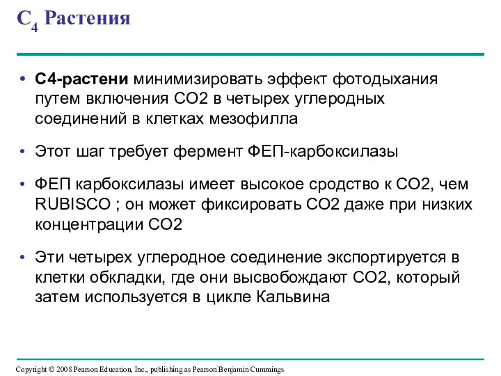 C4 Растения C4-растени минимизировать эффект фотодыхания путем включения CO2 в