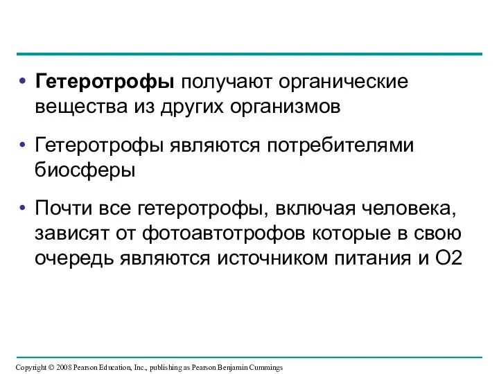 Гетеротрофы получают органические вещества из других организмов Гетеротрофы являются потребителями