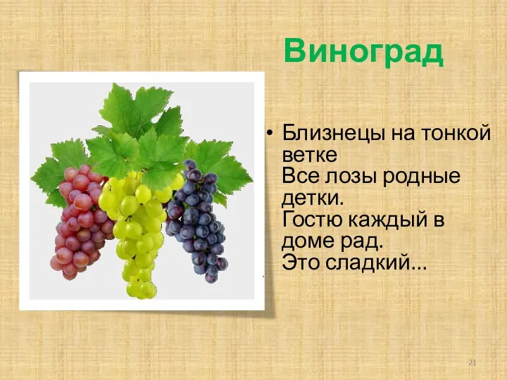 Виноград Близнецы на тонкой ветке Все лозы родные детки. Гостю каждый в доме рад. Это сладкий...