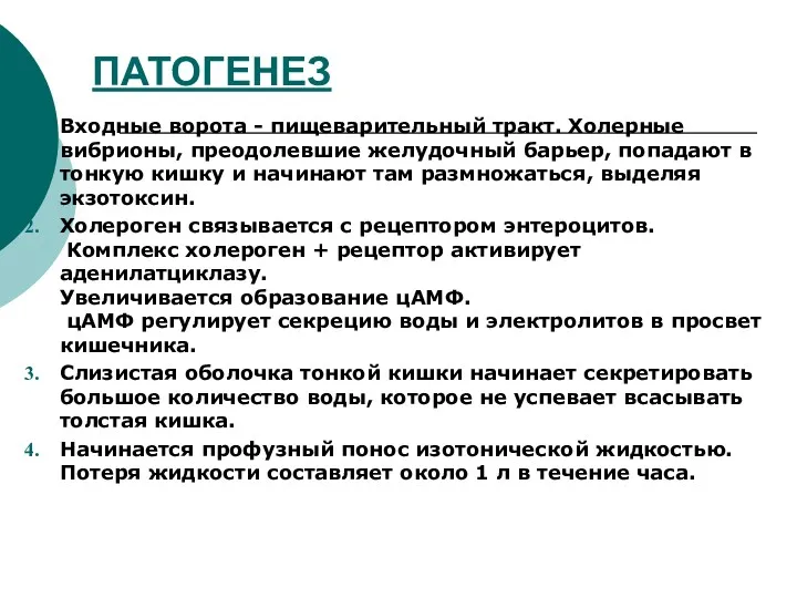 ПАТОГЕНЕЗ Входные ворота - пищеварительный тракт. Холерные вибрионы, преодолевшие желудочный