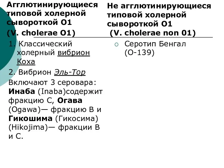 Агглютинирующиеся типовой холерной сывороткой О1 (V. cholerae O1) 1. Классический