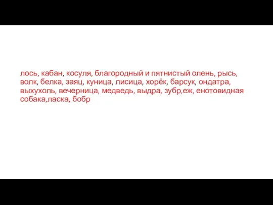 лось, кабан, косуля, благородный и пятнистый олень, рысь, волк, белка,