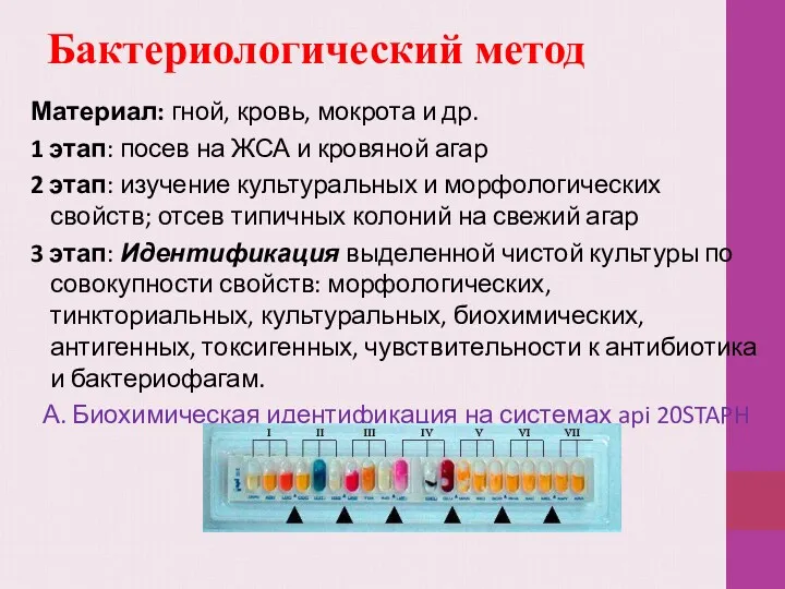 Бактериологический метод Материал: гной, кровь, мокрота и др. 1 этап: