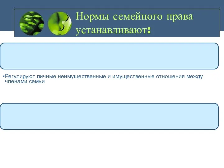 Нормы семейного права устанавливают: Условия и порядок вступления в брак,