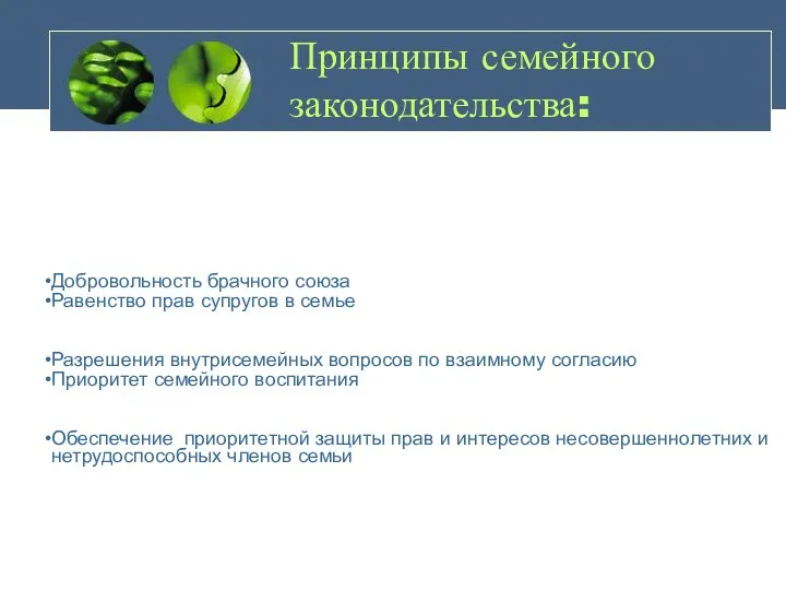 Принципы семейного законодательства: Добровольность брачного союза Равенство прав супругов в