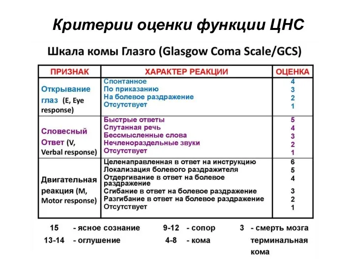 Критерии оценки функции ЦНС