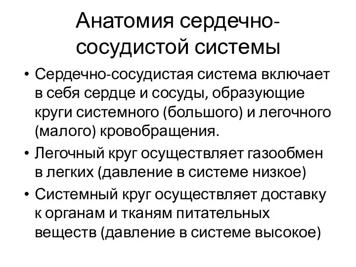 Анатомия сердечно-сосудистой системы Сердечно-сосудистая система включает в себя сердце и