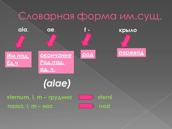 Словарная форма им.сущ. ala, ae, f - крыло Им.пад. Ед.ч