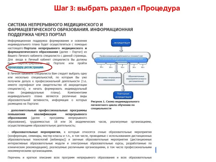 Шаг 3: выбрать раздел «Процедура регистрации»