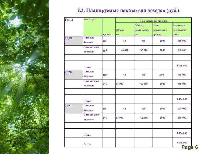 2.3. Планируемые показатели доходов (руб.)