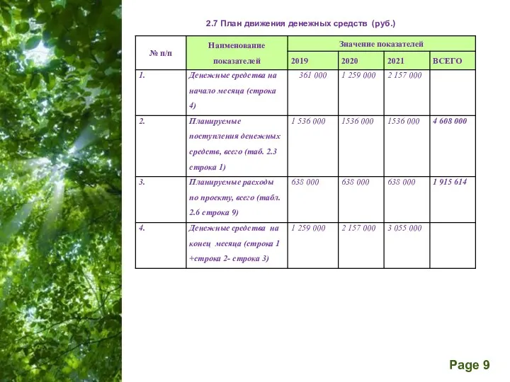 2.7 План движения денежных средств (руб.)