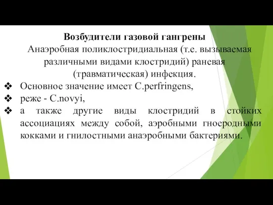 Возбудители газовой гангрены Анаэробная поликлостридиальная (т.е. вызываемая различными видами клостридий)