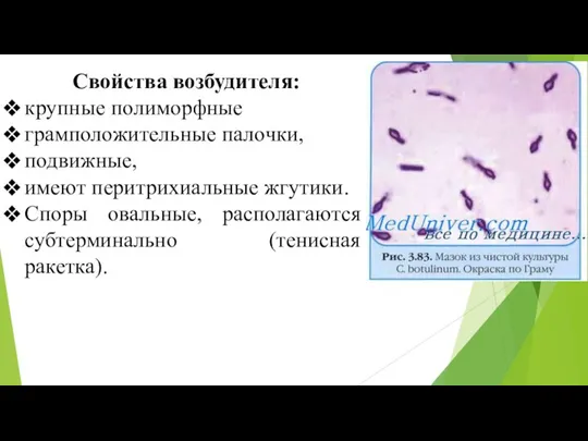 Свойства возбудителя: крупные полиморфные грамположительные палочки, подвижные, имеют перитрихиальные жгутики. Споры овальные, располагаются субтерминально (тенисная ракетка).