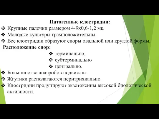 Патогенные клостридии: Крупные палочки размером 4-9x0,6-1,2 мк. Молодые культуры грамположительны.