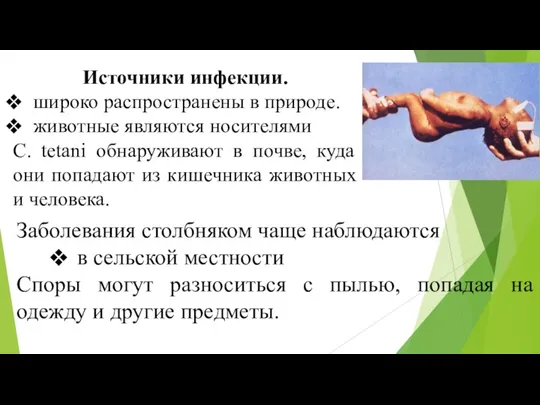 Источники инфекции. широко распространены в природе. животные являются носителями С.