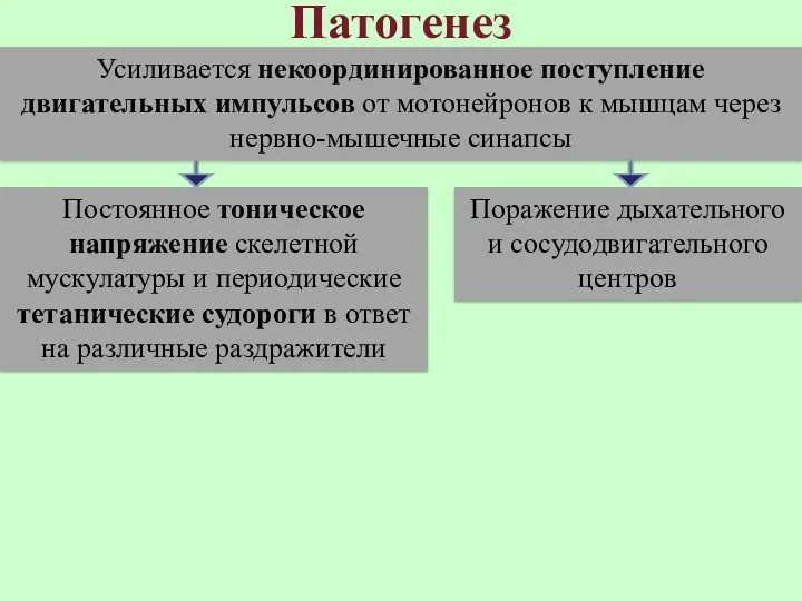 Патогенез Усиливается некоординированное поступление двигательных импульсов от мотонейронов к мышцам