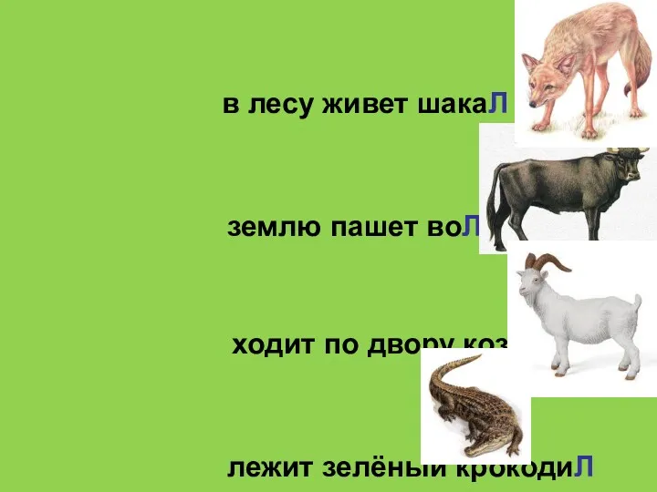 АЛ-АЛ-АЛ ОЛ-ОЛ-ОЛ ИЛ- ИЛ- ИЛ в лесу живет шакаЛ ОЛ-ОЛ-ОЛ