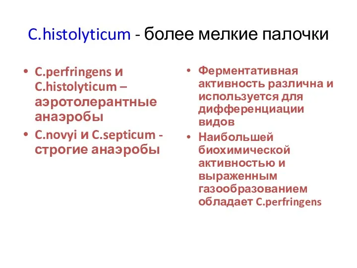 C.histolyticum - более мелкие палочки C.perfringens и C.histolyticum – аэротолерантные