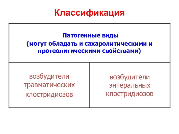 Классификация