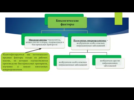 Идентифицируются как потенциально вредные факторы только на рабочих местах, на