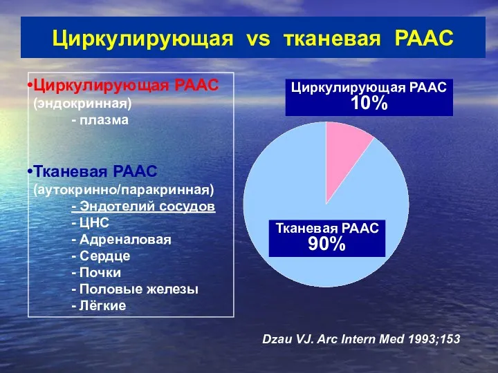 Тканевая РААС 90% Циркулирующая РААС 10% Циркулирующая РААС (эндокринная) -