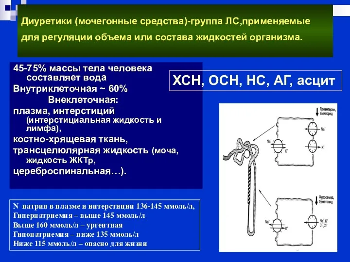 Диуретики (мочегонные средства)-группа ЛС,применяемые для регуляции объема или состава жидкостей