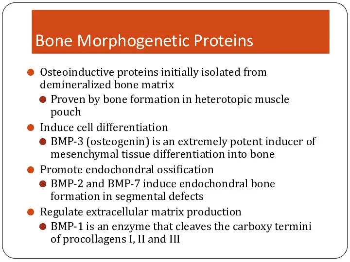 Bone Morphogenetic Proteins Osteoinductive proteins initially isolated from demineralized bone matrix Proven by