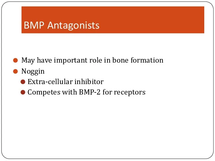 BMP Antagonists May have important role in bone formation Noggin Extra-cellular inhibitor Competes