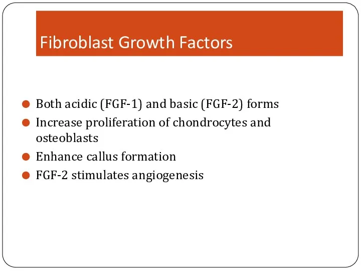 Fibroblast Growth Factors Both acidic (FGF-1) and basic (FGF-2) forms Increase proliferation of